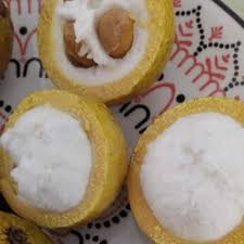 Image result for Garcinia sp. 1.