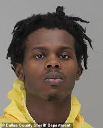 Man arrested after two tamarin monkeys stolen from Dallas zoo are found  inside empty church