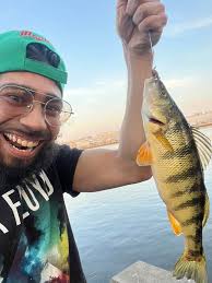 Yellow perch caught at veterans picnic