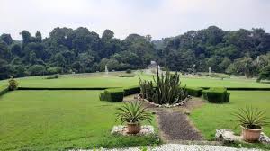 Lampu taman bogor updated their profile picture. Asyik Sebentar Lagi Ada Wisata Malam Bernuansa Digital Di Kebun Raya Bogor Tribunnews Com Mobile
