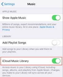 Solved Apple Music Playlists Gone Get Them Back Here