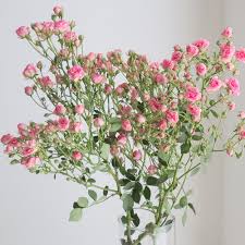 はなどんやアソシエ