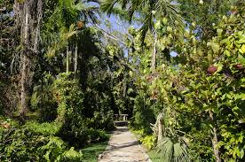 A theologian and doctor of the church, he dominated europe through his eloquence and his counselling of popes and rulers. St Bernard De Clairvaux Church Garden 2 Miami Geography Im Austria Forum