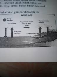 Evaporasi adalah proses perubahan molekul di dalam keadaan cair (contohnya air) dengan spontan menjadi gas (contohnya uap air). Perhatikan Gambar Di Bawah Ini Yang Dimaksud Dengan Evaporasi Dari Air Laut Adalah Brainly Co Id