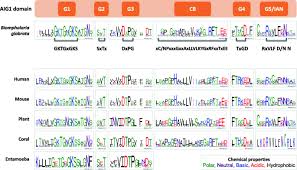 Check spelling or type a new query. Genome Wide Discovery And Computational And Transcriptional Characterization Of An Aig Gene Family In The Freshwater Snail Biomphalaria Glabrata A Vector For Schistosoma Mansoni Springerlink
