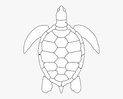 Olive Ridley Sea Turtle Drawings Free Transparent Clipart Clipartkey Turtle outline animal outline outline drawings tattoos for kids applique patterns coloring for kids outlines simple printable. olive ridley sea turtle drawings free