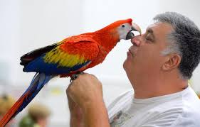 Even exotic birds touched by shrinking financial nest eggs