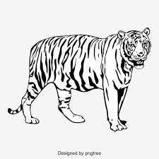 Black And White Tiger Body Image Silhouette Animal Monochrome Png And Vector With Transparent Background For Free Download Hitam Dan Putih Png Siluet