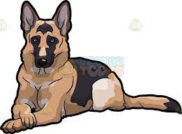 a german shepherd dog lying down with its paws crossed animal sketches dog art animal paintings