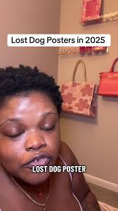 Missing Dogs Posters 2025