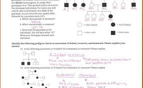 34 Rna Worksheet Answer Key Mr Hoyle Worksheet Project List Cute766