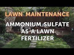 (16 to 24 cups) aluminum sulfate, or 1 1/3 to 2 lb. Ammonium Sulfate As A Lawn Fertilizer Youtube