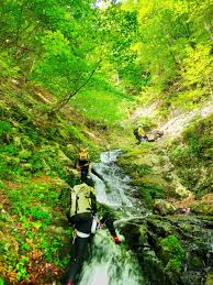 2023.05.27 四十八滝沢 | 茅ヶ崎山岳会