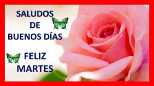 Cada vez que recibimos un saludo manifestándonos buenos deseos nos sentimos muy agradados, sobre todo si lo oímos al comenzar el día. Saludos De Buenos Dias Frases De Feliz Martes Youtube