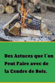 Cendre De Bois 10 Astuces Efficaces Pour L Utiliser En 2020 Cendres De Bois Bois Astuces
