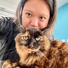 Adrianna Tan: "Cat at vet #CatsOfMastodon #C…"