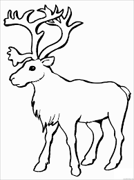 Santa claus and deer open a gift. Reindeer Coloring Pages Animal Printable Sheets Printable Reindeer To Print 2021 Coloring4free Coloring4free Com