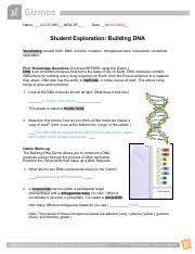 What does it look like? Building Dna Docx Name Date Student Exploration Building Dna Vocabulary Double Helix Dna Enzyme Mutation Nitrogenous Base Nucleoside Nucleotide Course Hero