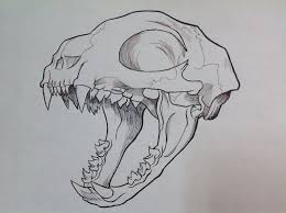 Discover more posts about animal skull drawing. Easy Skull Drawing Animal Novocom Top