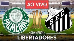 Learn how to watch palmeiras vs santos live stream online on 10 july 2021, see match results and teams h2h stats at scores24.live! Palmeiras 1 X 0 Santos Melhores Momentos Final Da Libertadores 2020 Youtube