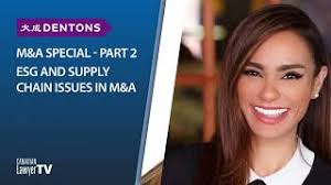 Canadian Lawyer M&A Roundtable Part 2: ESG and supply chain issues in M&A