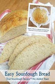 Kaylen S Bread Easy Sourdough Bread Recipe Recipe Homemade Sourdough Bread Bread Recipes Homemade Easy Sourdough Bread Recipe