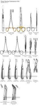 Dog Dental Extraction Kit Vet Medicine Dental Extraction Veterinary Tech