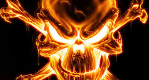Wayfair.com has been visited by 1m+ users in the past month 57 Blue Fire Skull