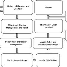 Food Grain Distribution Flow Chart Source Modified After