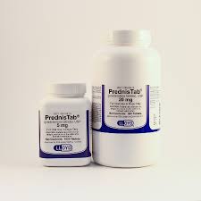 Image result for Prednisolone