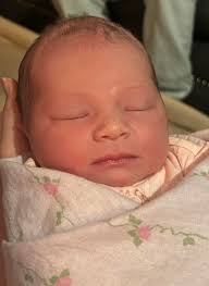 Wendy Herrick Floral Designs (@wendyherrickfloral) · Topsham, ME