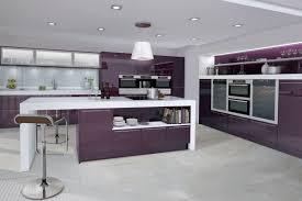 kitchen consultation with purple pepperpot