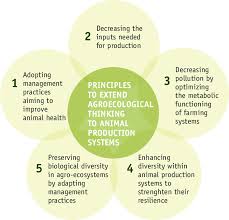 Five Ecological Principles For The Redesign Of Animal Production Systems Download Scientific Diagram