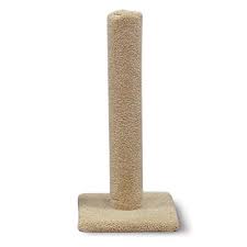 The cat scratching post you are going to do must be high enough as it is going to be used intensively and for a long time. Make A Super Cute Cactus Scratching Post Best Friends Pizza Club