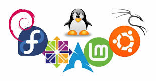 Image result for Computers Software Operating Systems Linux User Groups North America