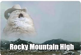 When was the last edit of rocky mountain high? Rocky Mountain High Lolcats Lol Cat Memes Funny Cats Funny Cat Pictures With Words On Them Funny Pictures Lol Cat Memes Lol Cats
