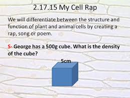 Below the basic structure is shown in the same animal cell, on the left viewed with the light microscope, and on the right with the transmission electron microscope. Write To Learn Plant Vs Animal Cells Complete Write To Learn And Quiz During The Video Explain The Difference Between A Plant Cell And Animal Ppt Download