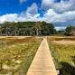 CELT'S 40th Anniversary Guided Walk Series: Spring in Willow Brook Preserve