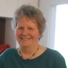 Secret Diary of a 1970s Secretary: Shaw, Sarah: 9781472124692: Amazon.com:  Books