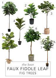 Fiddle leaf fig trees prefer to be near a window that is facing south or southwest. The Best Faux Fiddle Leaf Fig Trees And Where We Got Ours Fiddle Leaf Fig Tree Plant Decor Floor Plants