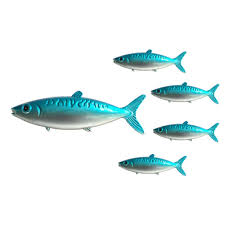 And it is a way of decorating that is absolutely in vogue right now. Woerte Home 5 Metal Fish Art Wall Hanging 1 Big 4 Small Indoor And Outdoor Decorative Swimming Pool Beach Decoration Buy Online In Antigua And Barbuda At Antigua Desertcart Com Productid 75081657