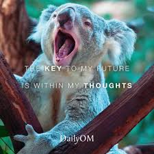 Kleurplaat wilde dieren moeilijk : Dankbaarheid Archieven Claire S Mission