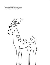 Maybe you would like to learn more about one of these? Free Deer Coloring Pages Coloring Home
