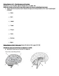Biology eoc review pack the answers biology review wylie biology review biology eoc review packet answers 2015 biology eoc study guide with practice questions biology review 1 packet answers download truyenyy com georgia biology eoct prep. Biology Eoc Review Packet By Kelly Holder Teachers Pay Teachers