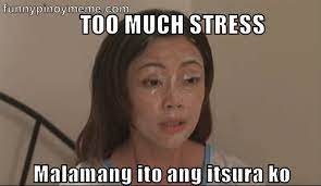 Pin By Jhelai Dela Cruz On Tagalog And English Memes E E English Memes Memes Quotes Too Much Stress