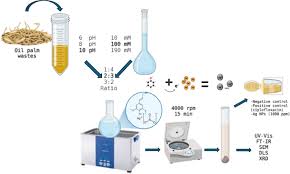 Image result for Usteria guineensis