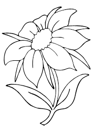 Free printable marigold flower coloring pages. Parentune Free Printable The Marigold Coloring Picture Assignment Sheets Pictures For Child