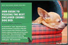 I want to build my dog a water bed that is just like a regular water bed. 8 Best Cave Enclosed Dog Beds In 2021 Dome Bed Reviews