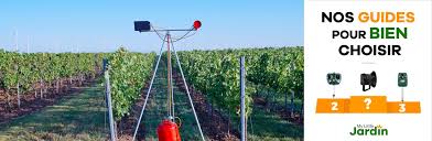 chaîne dédiée à l'élevage d'oiseaux exotiques je vous présente à travers cette vidéo tutoriel les différentes étapes afin de faire germer des graines à. Acheter Un Effaroucheur D Oiseaux Quel Modele Choisir 2021