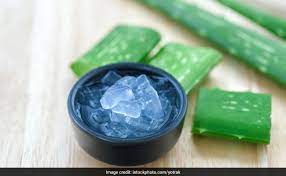 Aloe vera oil and gel have gained widespread acceptance in cosmetics, including the extensive use of aloe vera juice for hair care. Here S How Aloe Vera Benefits Your Hair